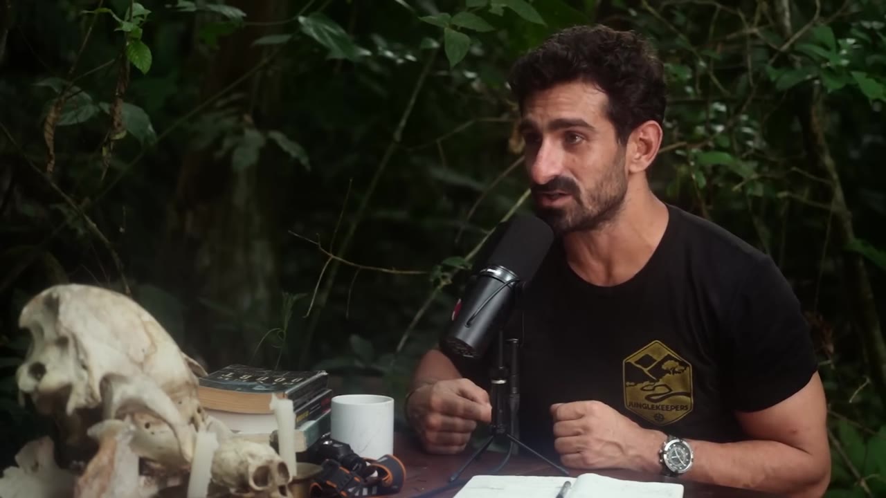 The full podcast episode, a two-hander filmed in the jungle
